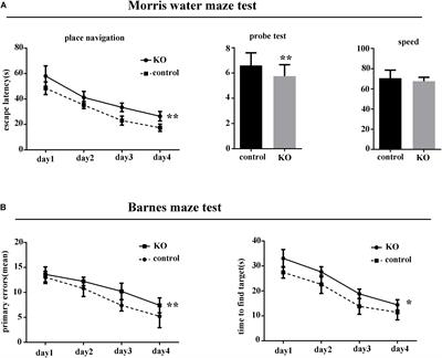 Loss of miR-369 Promotes Tau Phosphorylation by Targeting the Fyn and Serine/Threonine-Protein Kinase 2 Signaling Pathways in Alzheimer’s Disease Mice